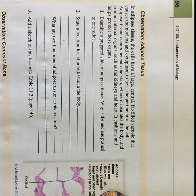 Why is the nucleus pushed to one side-example-1