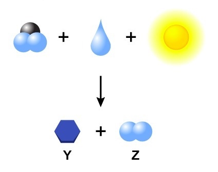 15 POINTS!  Study the diagram, which represents the general equation for photosynthesis-example-1