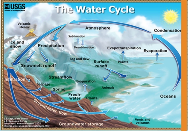 (02.06 HC)If you had continued following the water molecule in the Water Cycle Activity-example-1