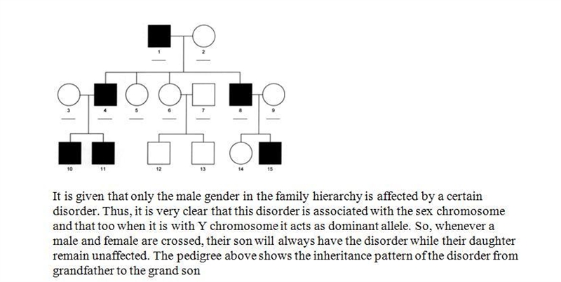 If only males are affected in a pedigree, what is the likely inheritance pattern for-example-1