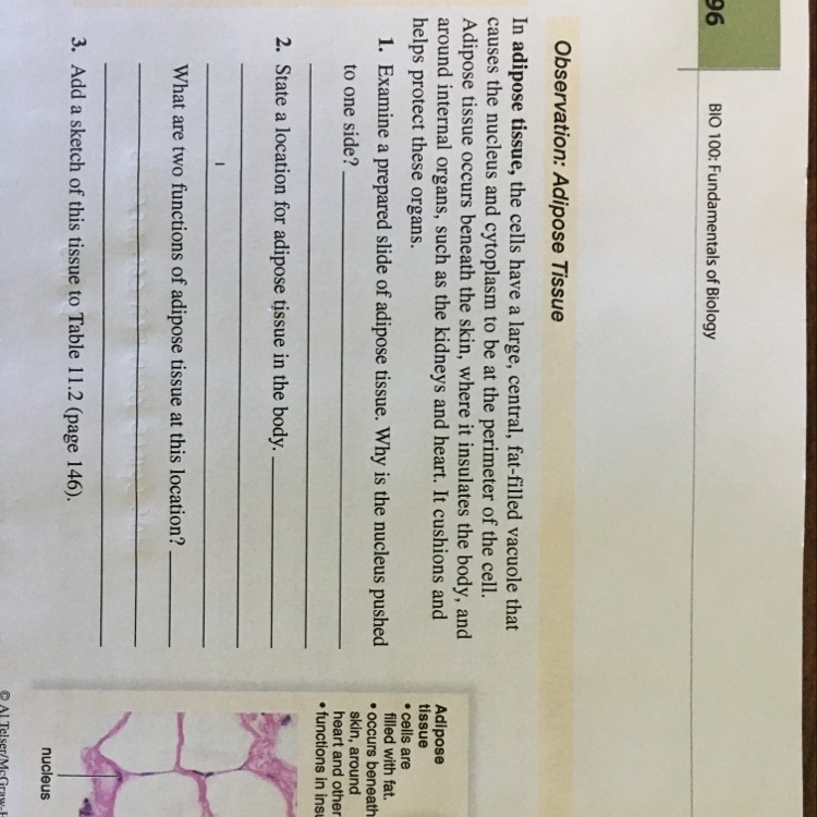 Why is the nucleus pushed to one side ?-example-1