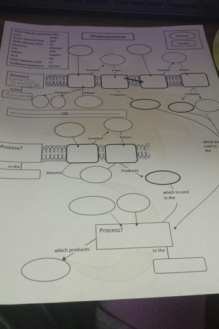 What is the process of photosynthesis-example-1