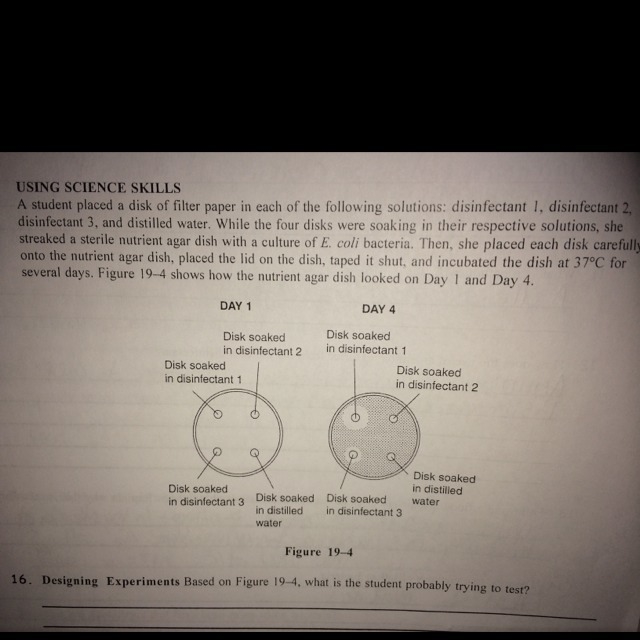 What is the control in the experiment shown in figure 19-4?-example-1