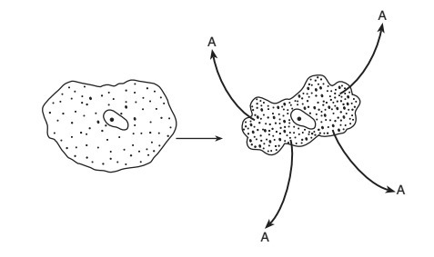 Identify substance A.-example-1