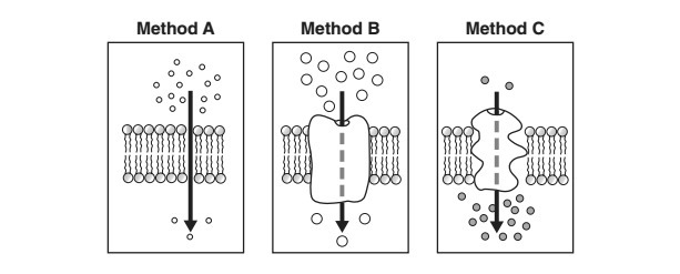 Using information from the diagram, state one reason why the movement of molecules-example-1