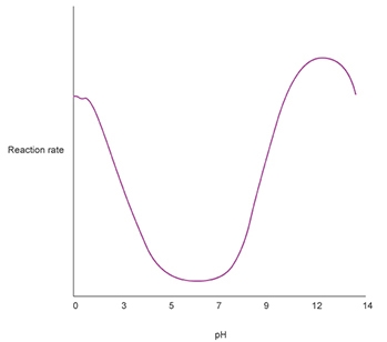 30 POINTS!!!!! The graph above shows the progress of an enzyme-catalyzed chemical-example-1