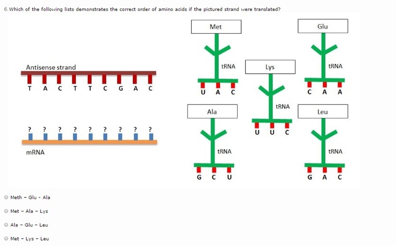 Multiple choice biology question need help ASAP-example-1