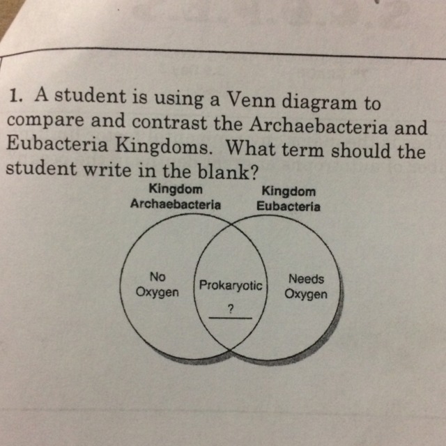 ??pls help with both questions.-example-1