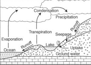 Ground water, when taken up by the roots of plants, eventually reenters the atmosphere-example-1