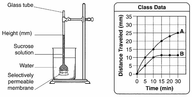 52. Which results in the graph in Figure 7-12 are more likely to be accurate, those-example-1