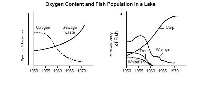 "Which statement concerning the oxygen level in the lake can be inferred from-example-1