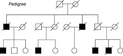 In the diagram shown, ___________ are represented by the squares. A) males B) females-example-1