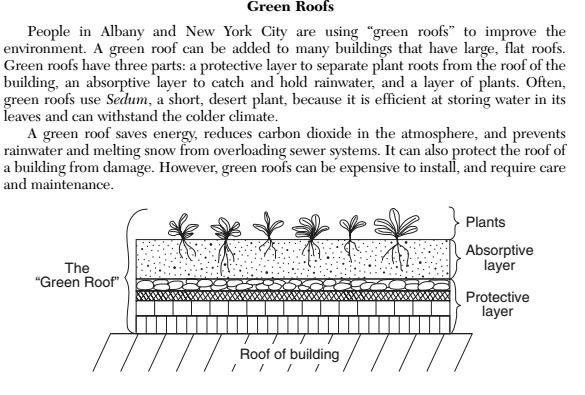 "People in Albany and New York City are using “green roofs” to improve the environment-example-1