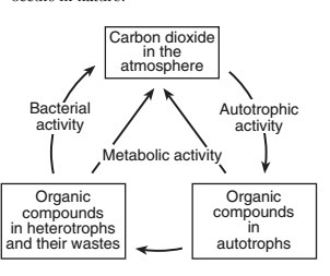 "Which phrase describes a human activity that could have a negative effect on-example-1