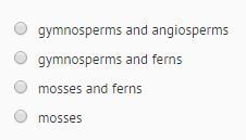 Based on the phylogenetic tree below, which groups of plants evolved most recently-example-2