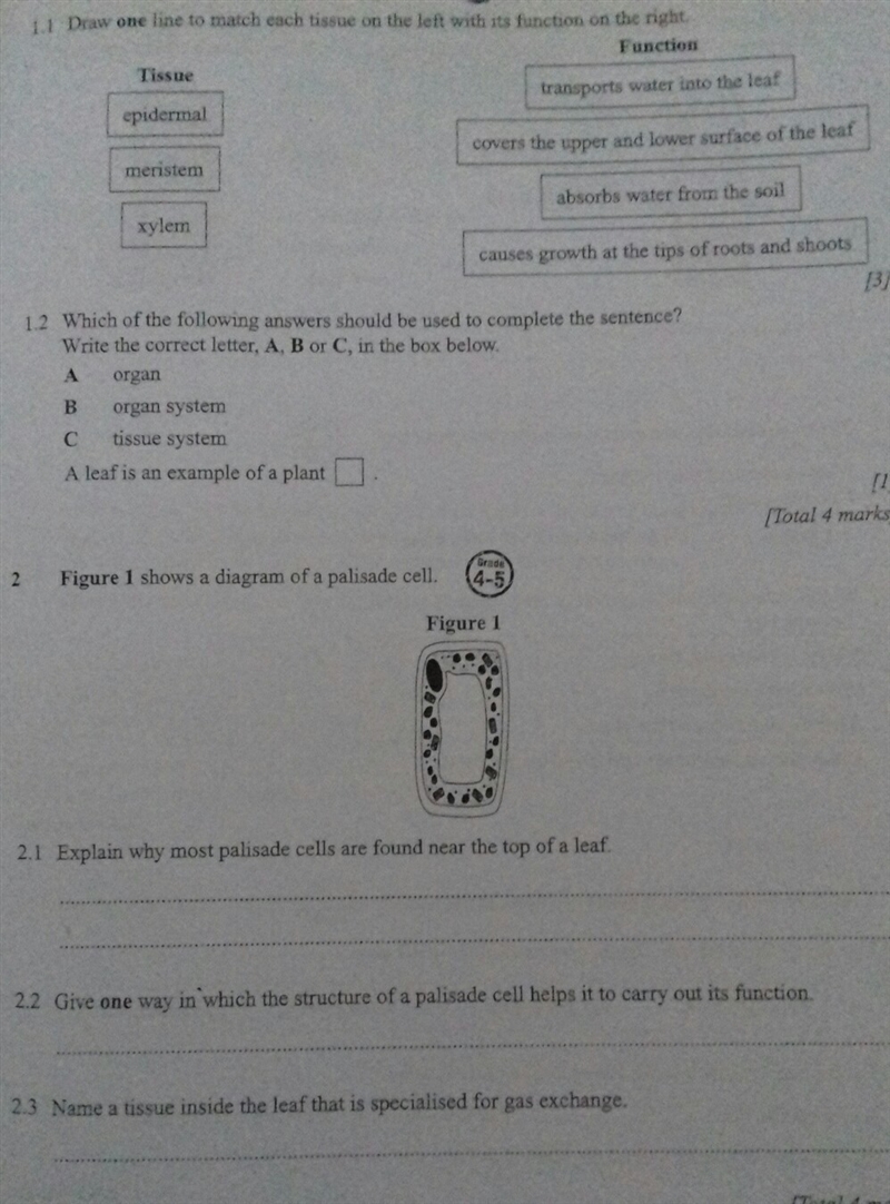 Foundation biology: photosynthesis please help thanks-example-1