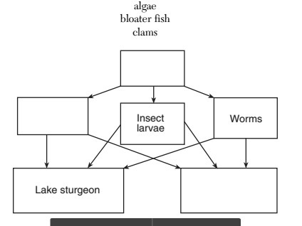 "The lake sturgeon is a fish that often grows over six feet long and can weigh-example-1