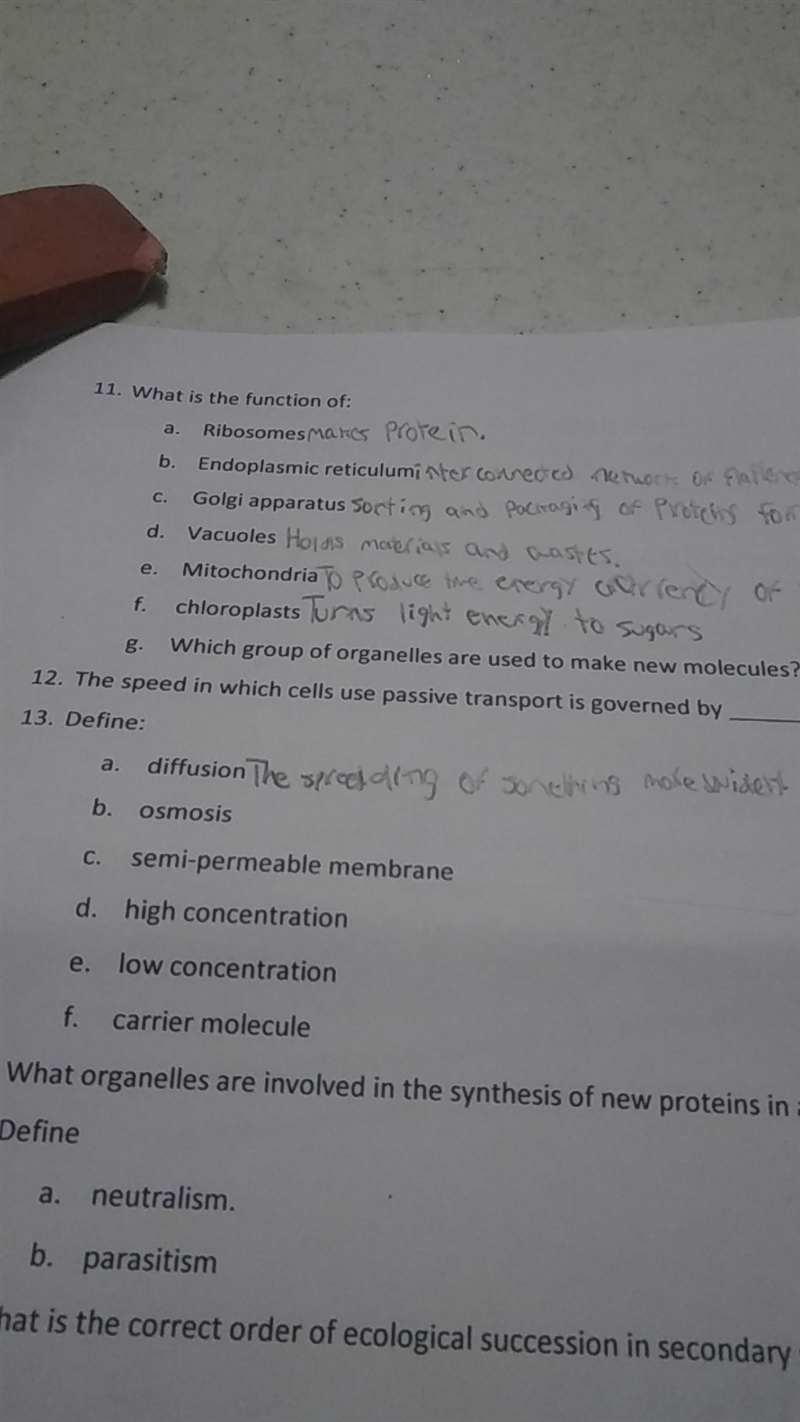 Which group of organelless are used to make new molecules?-example-1