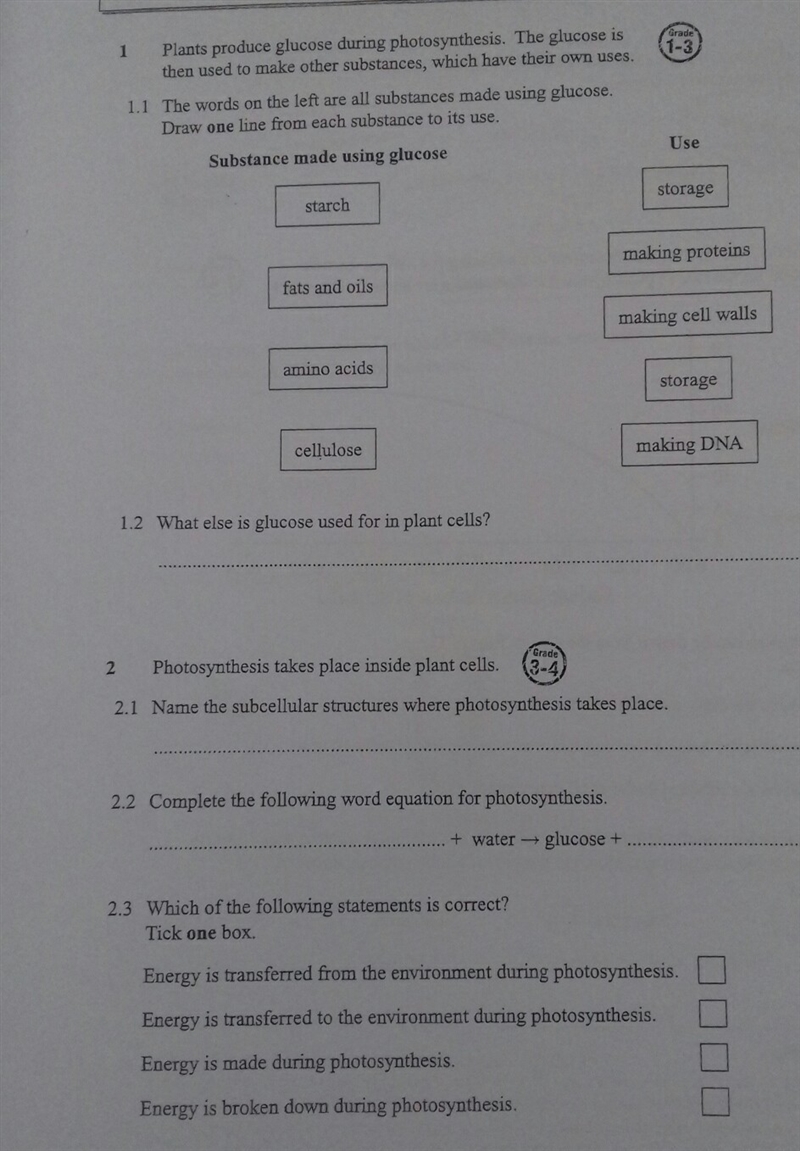 can someone help with my biology homework? its about photosynthesis on a foundation-example-1