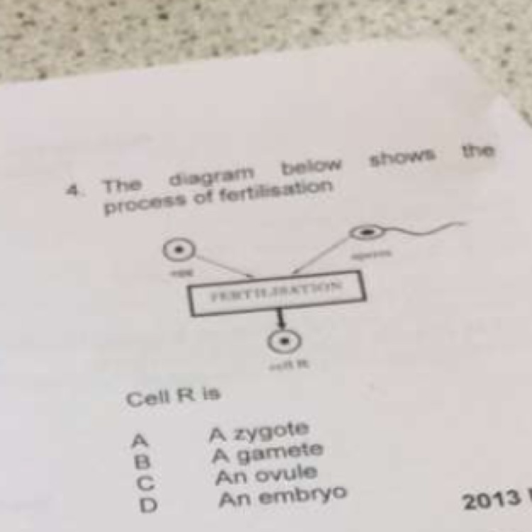 Need help with this question ASAP-example-1