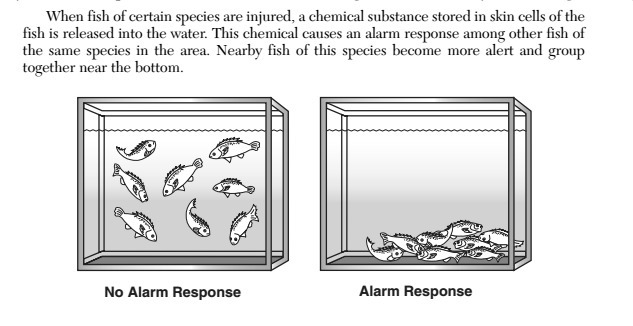 Explain why the chemical released from the injured fish may not cause an alarm response-example-1