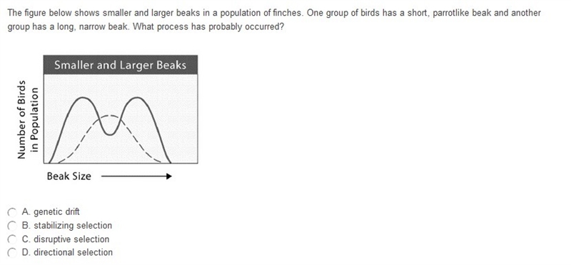 Can someone help me ASAP please! Please don't guess, I am studying for my final exam-example-1