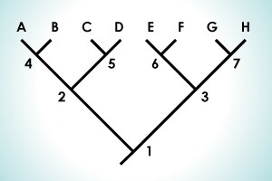 Based on this cladogram, which pair of organisms are likely to share the most similarities-example-1