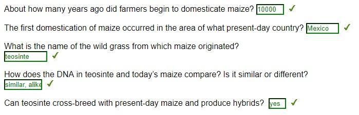 About how many years ago did farmers begin to domesticate maize?-example-1