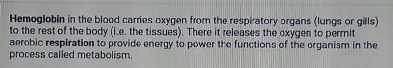 How is haemoglobin associated with respiration?-example-1