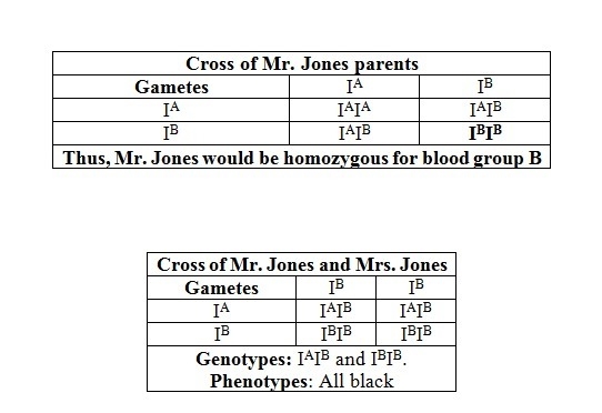 Mr. jones has blood type b and mrs. jones has blood type ab. what is the probability-example-1