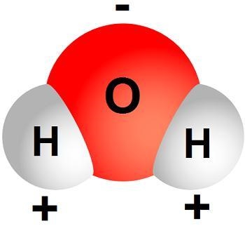 Water can easily dissolve mineral ions for transport around plants. This is a very-example-1