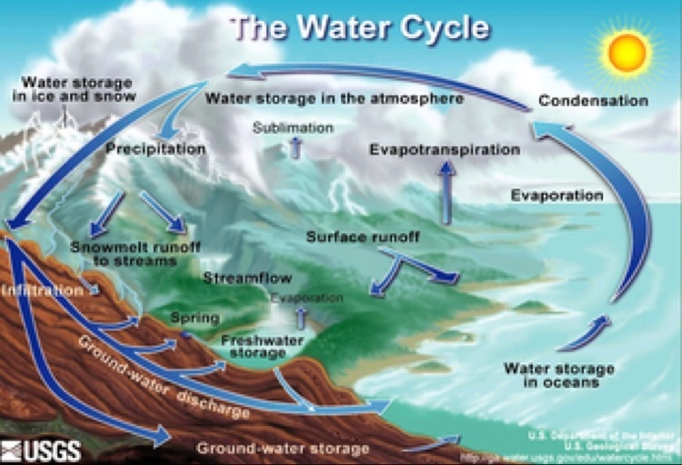 What are biogeochemical cycles and what do they include?-example-1