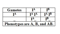 A man with type a blood marries a woman with type ab blood. according to predicted-example-1