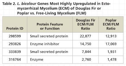 For the gene encoding the first protein listed, what does the number 22,877 indicate-example-1