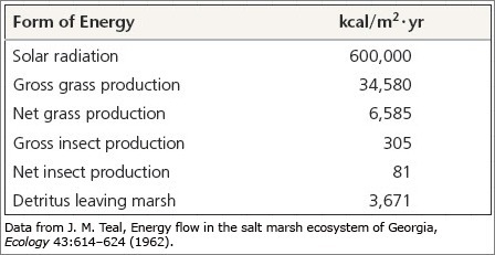 If all of the detritus leaving the marsh is plant material, what percentage of all-example-1