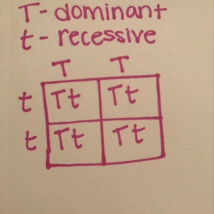 Use a punnett square to explain how a dominant allele masks the presence of a recessive-example-1