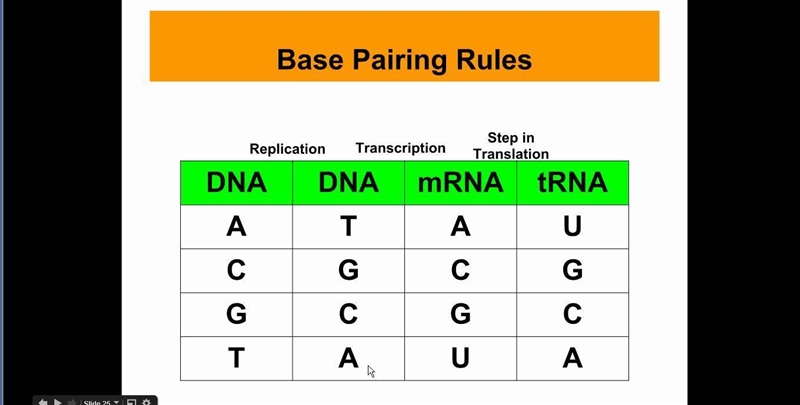 Given the sequence of DNA nucleotide bases TTAGCCTTG, give the complementary strand-example-1