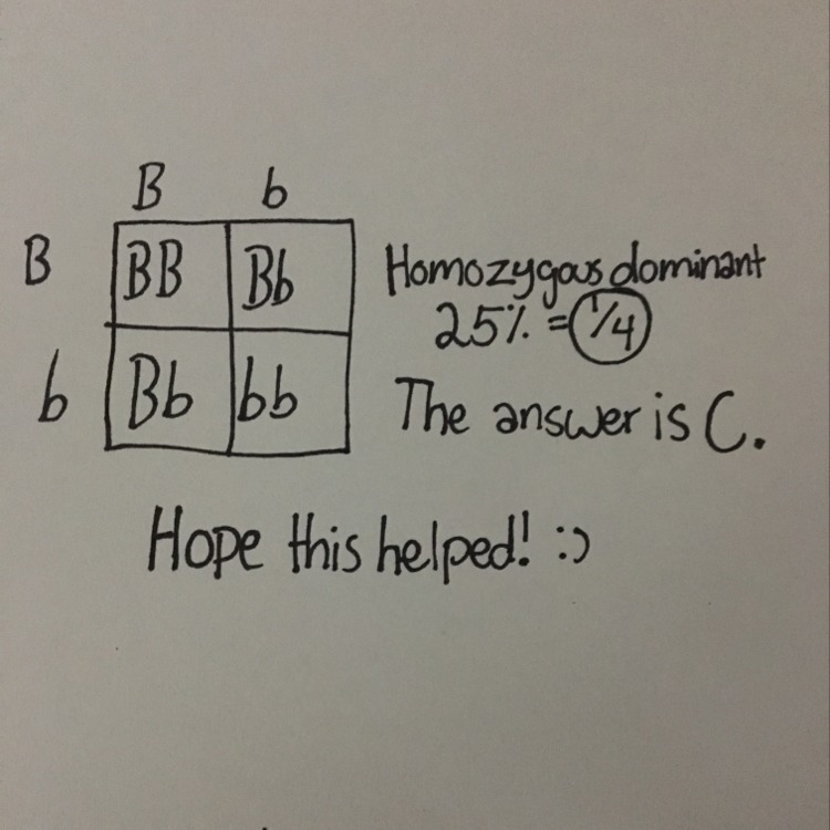 8) In rabbits, the allele for black fur, B, is dominant over the allele for brown-example-1