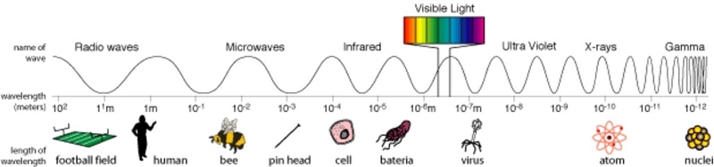 Which of these statements best proved that electromagnetic forces are weaker than-example-1