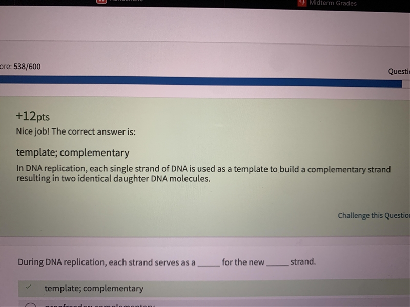 During dna replication, each strand serves as a _____________ for the new ________________ strand-example-1