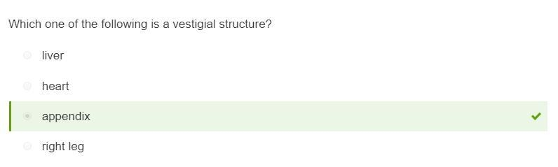 Question 3 Which one of the following is a vestigial structure? liver heart right-example-1