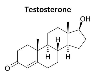 Testosterone and estradiol are male and female sex hormones, respectively, in many-example-4