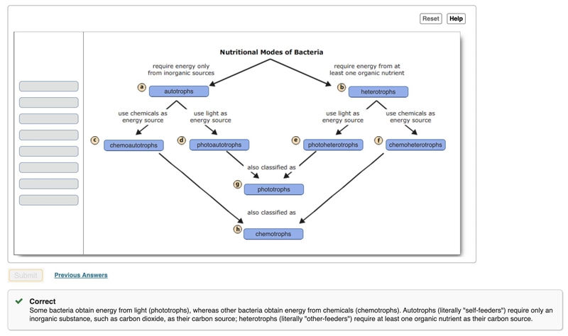 Label the diagram below to show the relationship between nutritional modes of bacteria-example-1