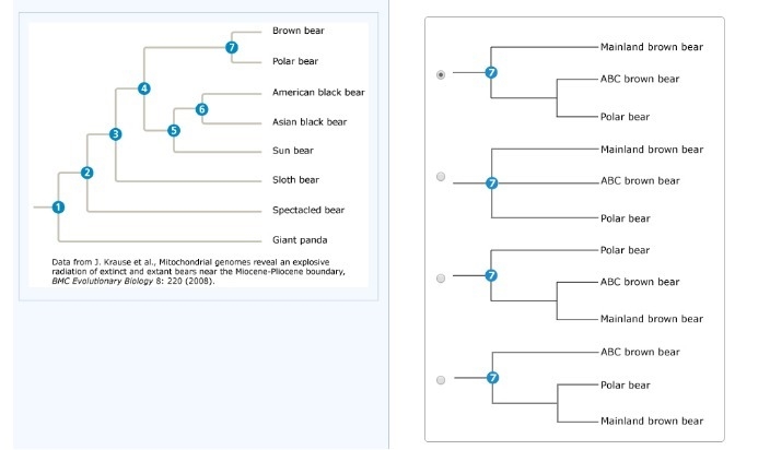 Based on the results of the 2000 study, how should the portion of the tree extending-example-1