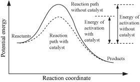 How do catalysts affect the energy of reactions? A. They absorb excess energy that-example-1