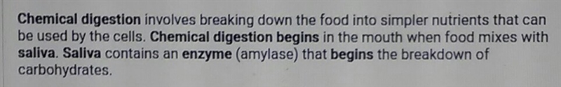 Enzymes in saliva begin the chemical digestion of _________. fats carbohydrates protein-example-1