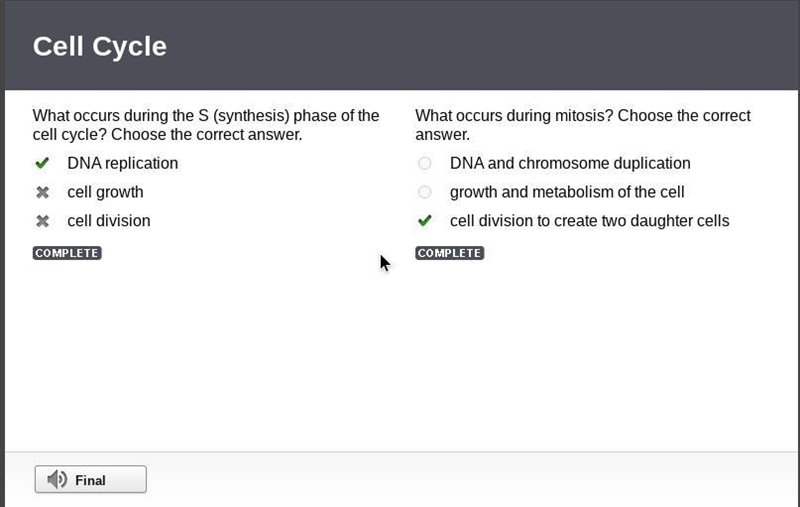 What occurs during the S (synthesis) phase of the cell cycle?-example-1