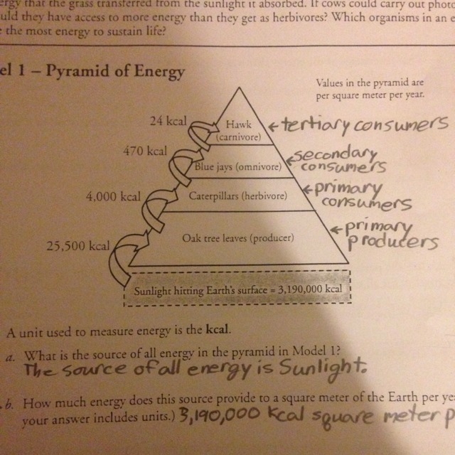 What percentage of the source energy from question 1a is absorbed by the oak in model-example-1