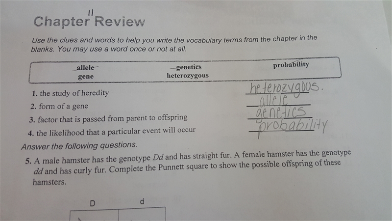 Can someone please tell me if 1-4 is right?-example-1