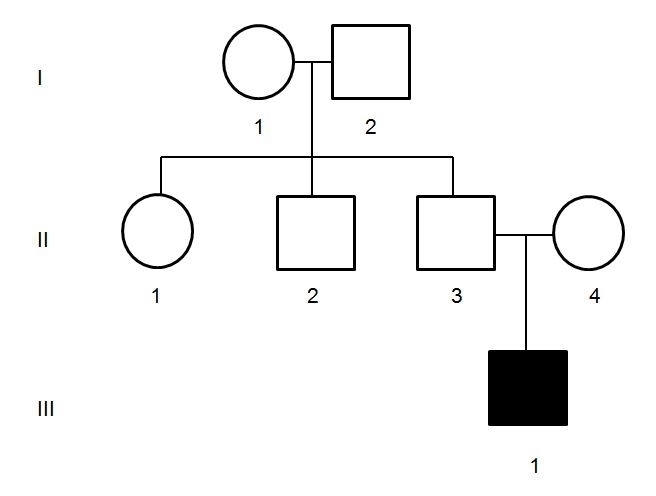 Please describe the relationship between I 1 and III 1 shown in the pedigree show-example-1